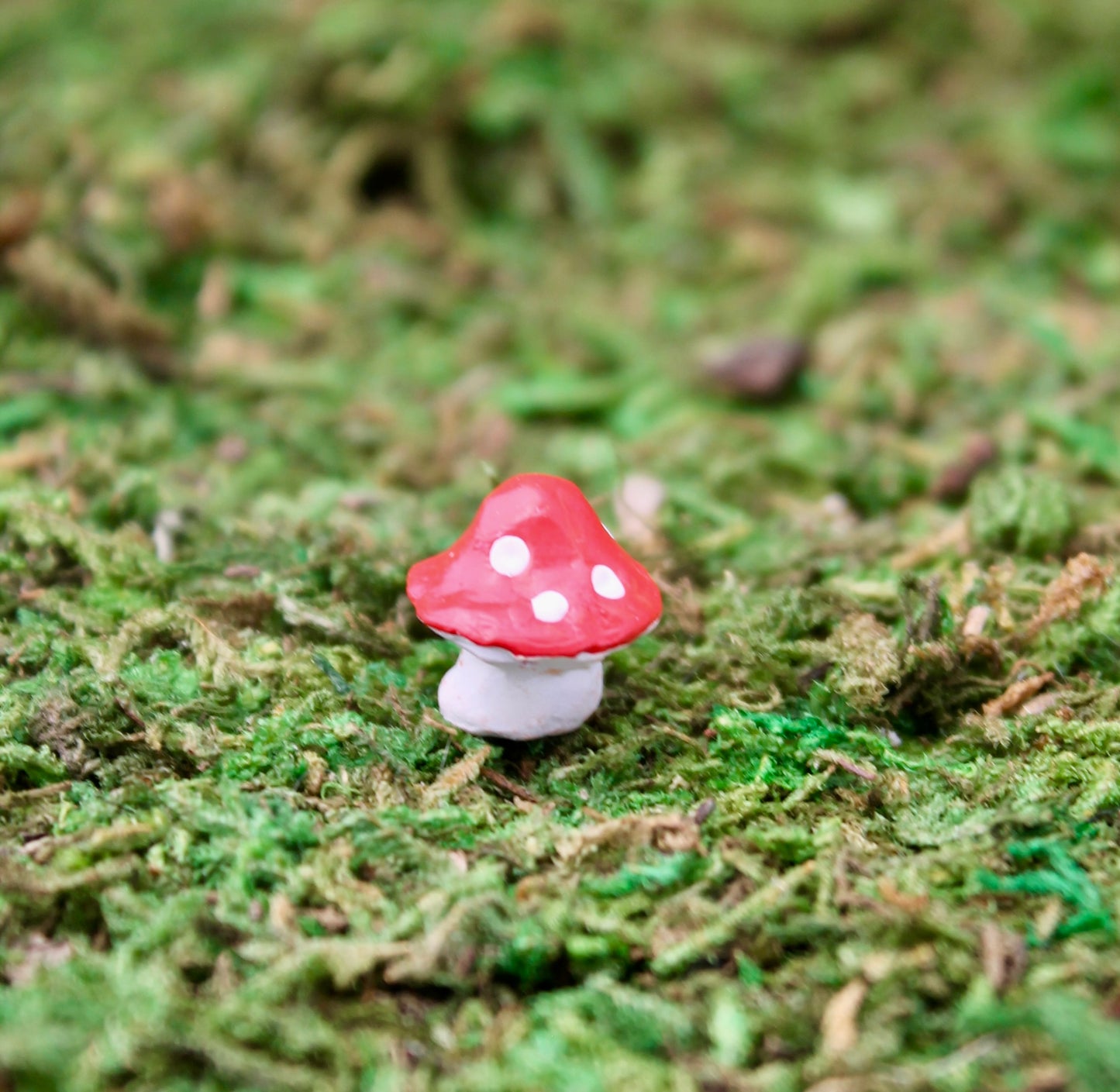 Micro Gnome House Set
