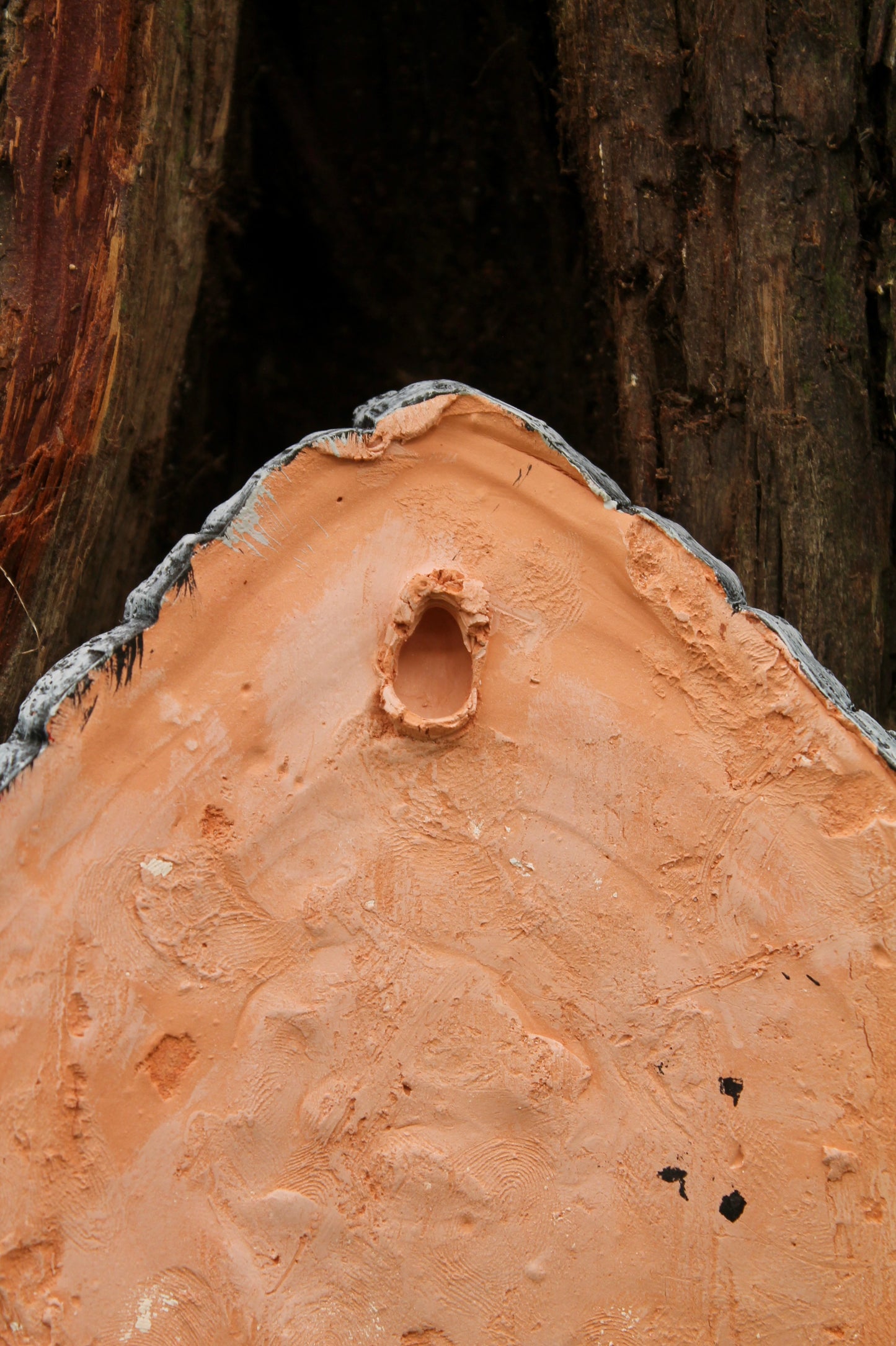 Zombie Gnomes: Knock, Knock, is Anybody gHome? (Door)