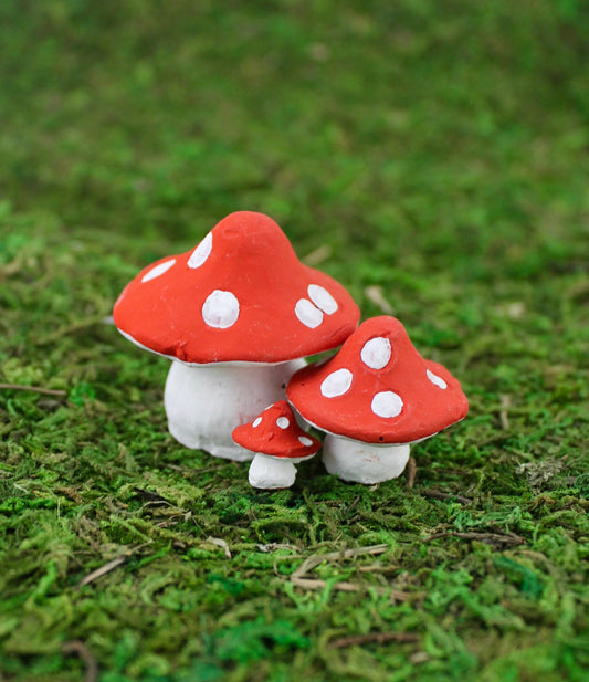 Pocket Mushroom Set of 3