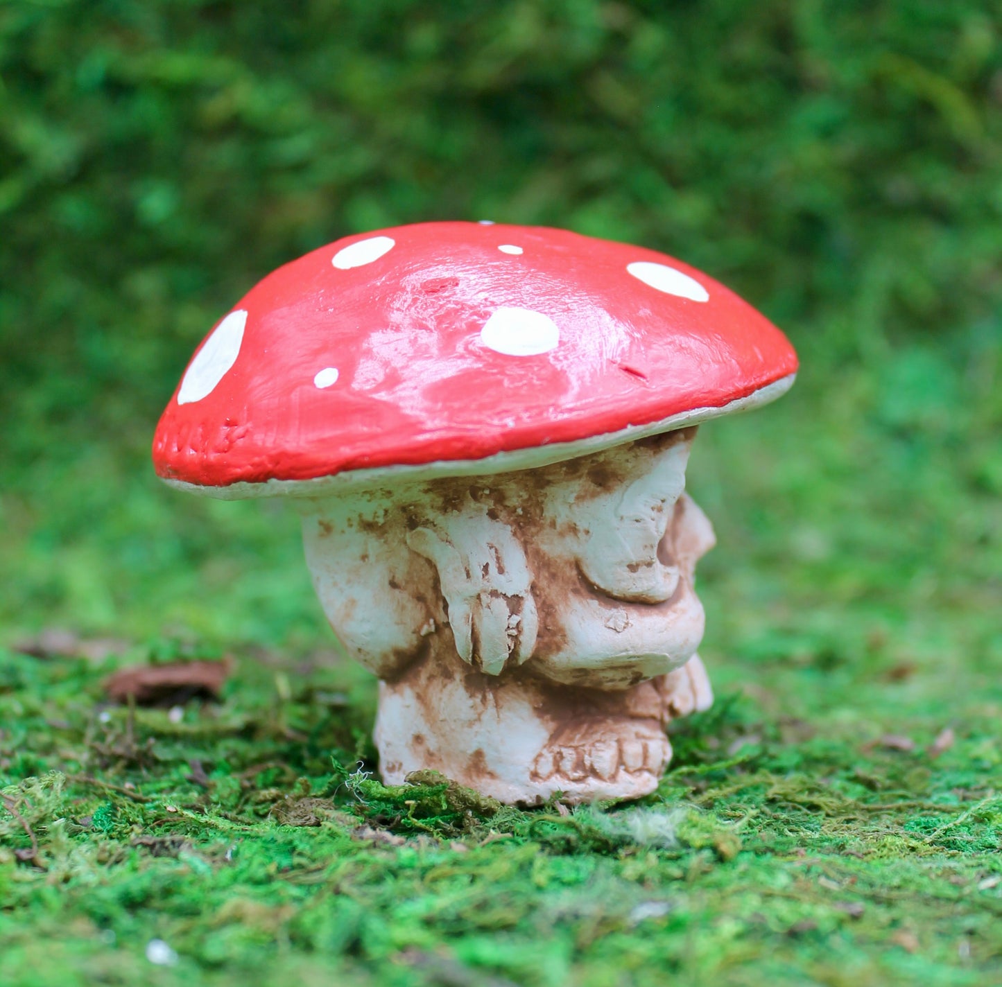 Spore Spirits: The Fly Agaric