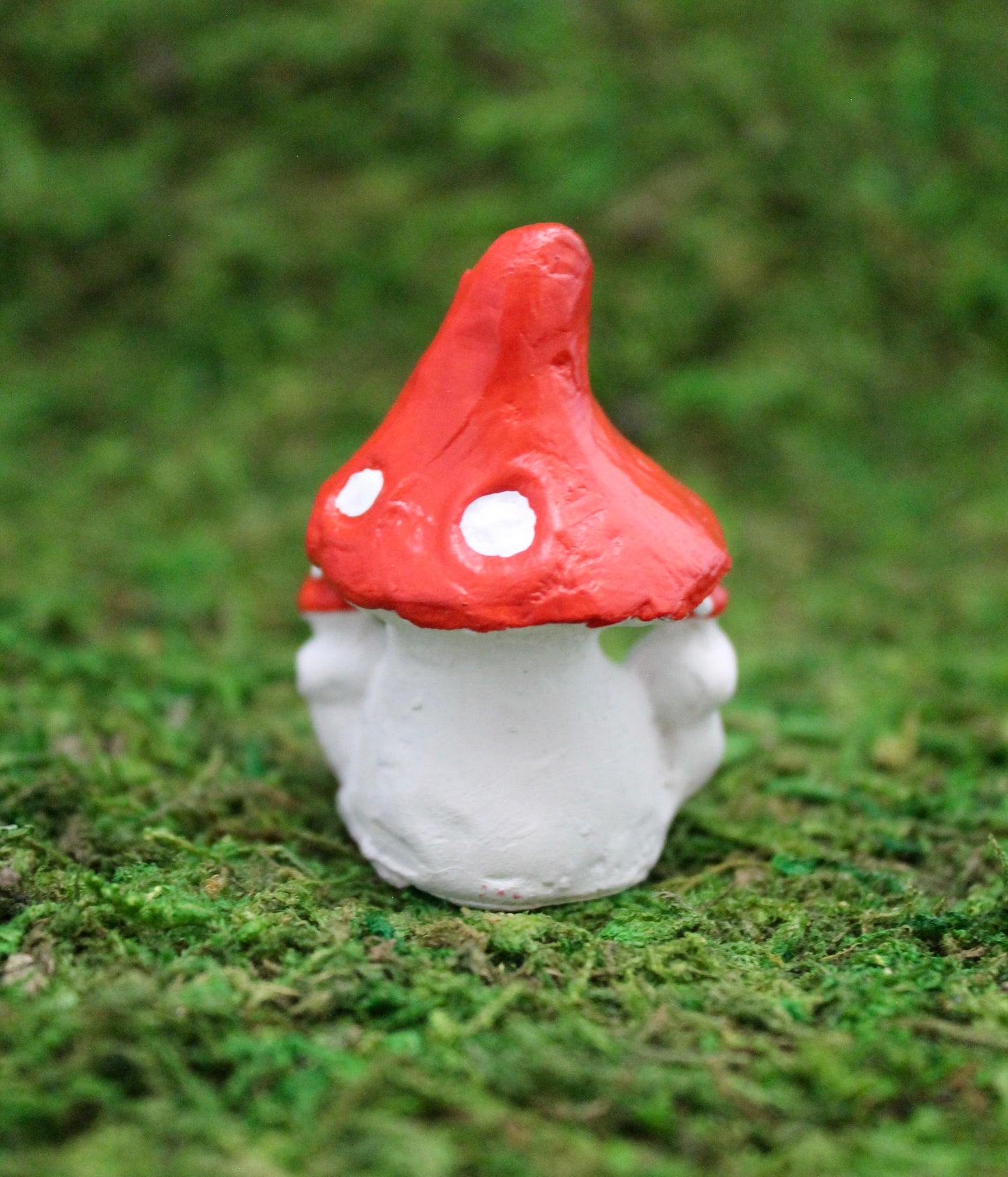 FunGuy Terrarium