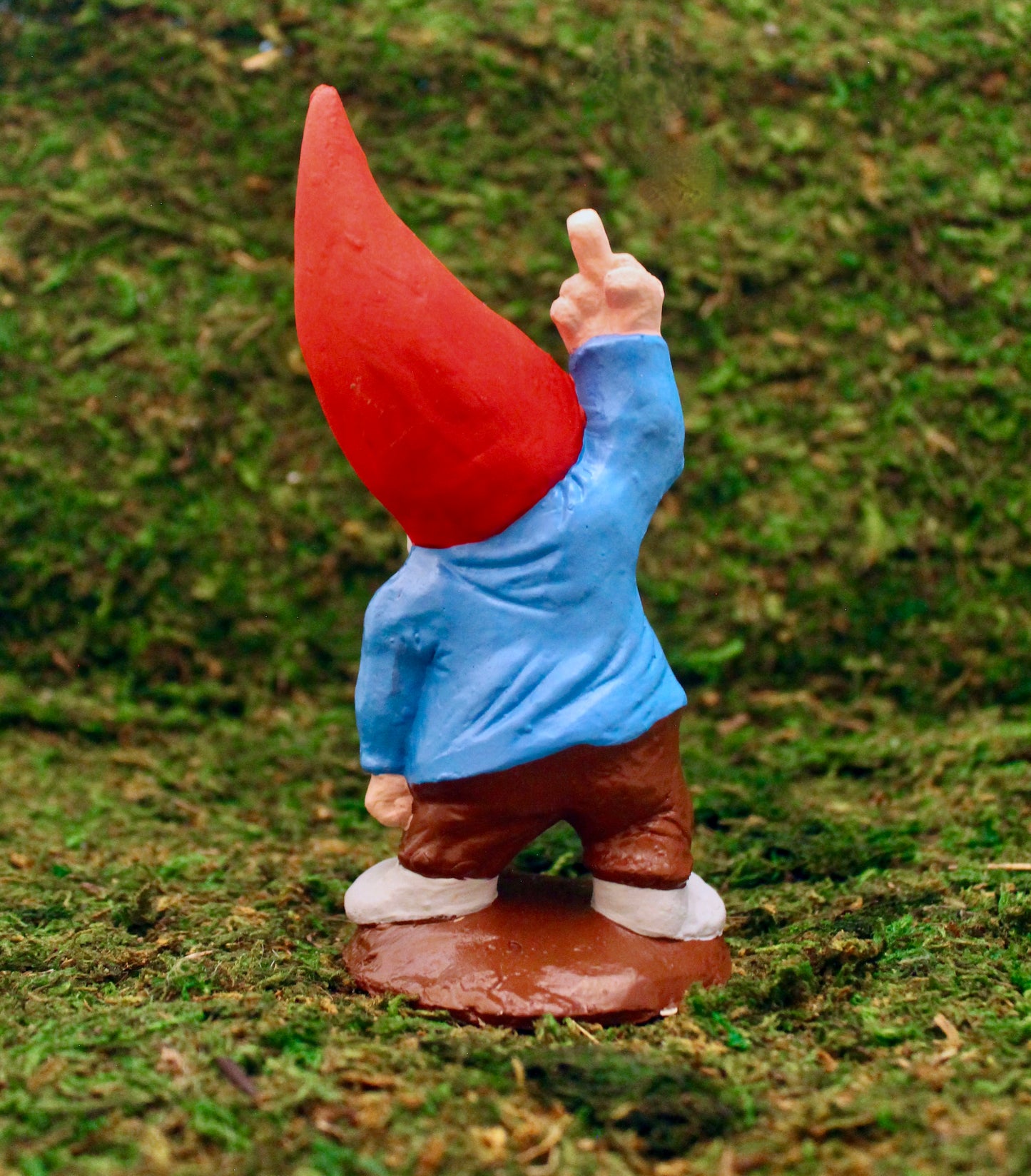 Zombie Gnomes: Terrible Tim