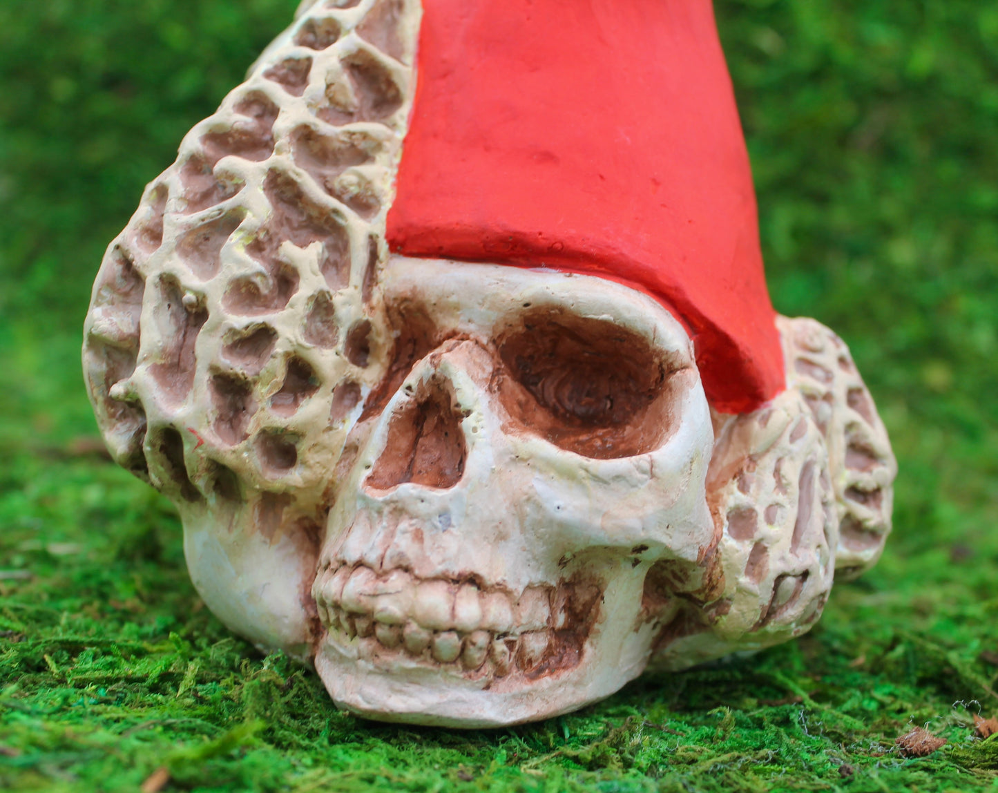 Zombie Gnomes: Low Morel