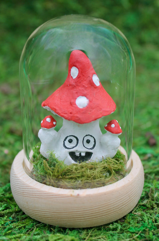 FunGuy Terrarium