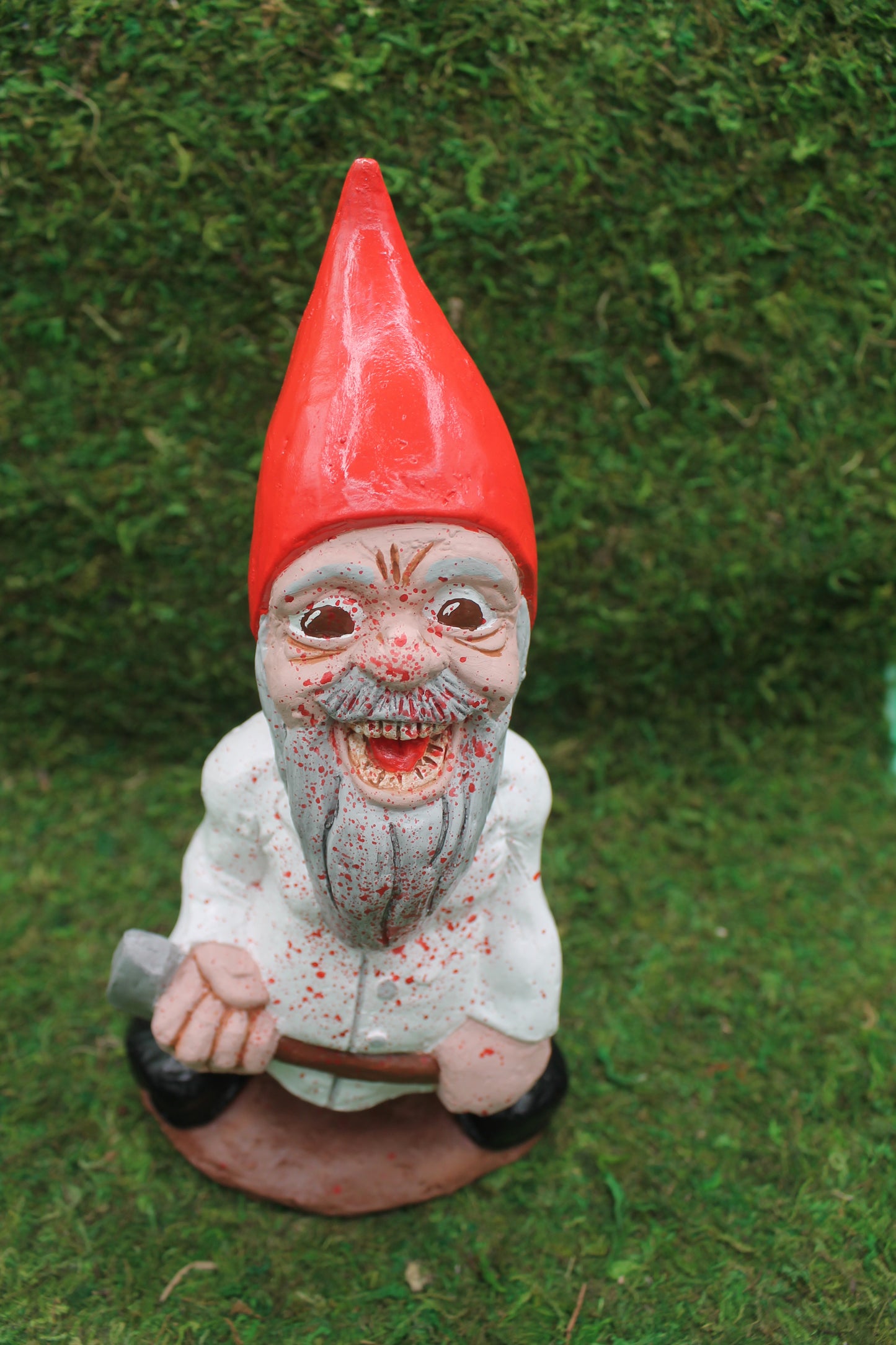 Zombie Gnomes: Hedge FUN