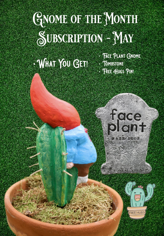 A Gnome a Month Subscription - May - Face Plant!